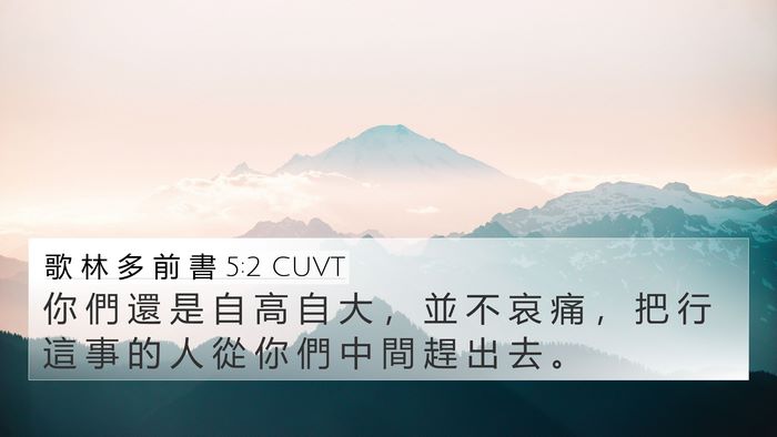 歌 林 多 前 書 5:2 CUVT Bible Verse Image