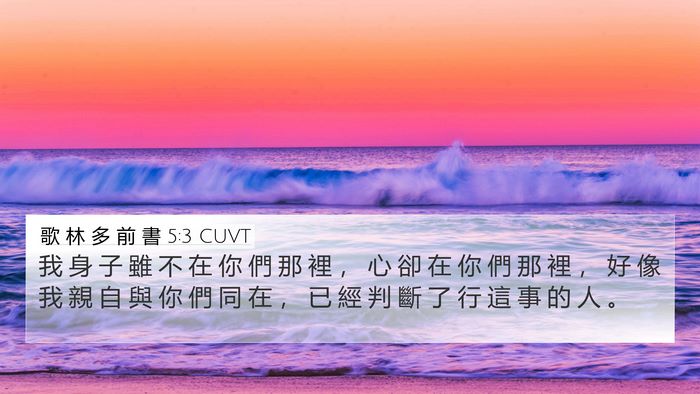 歌 林 多 前 書 5:3 CUVT Bible Verse Image