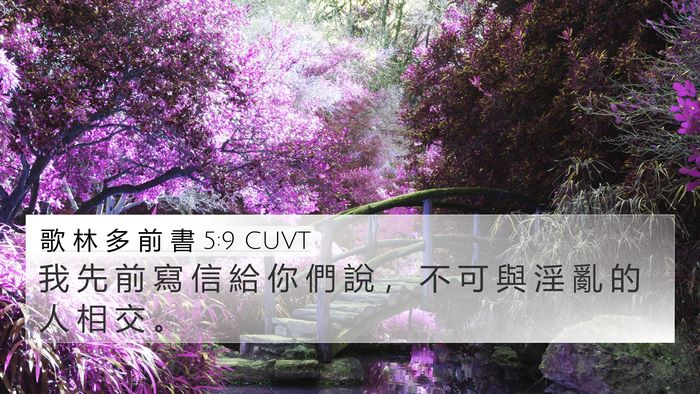 歌 林 多 前 書 5:9 CUVT Bible Verse Image