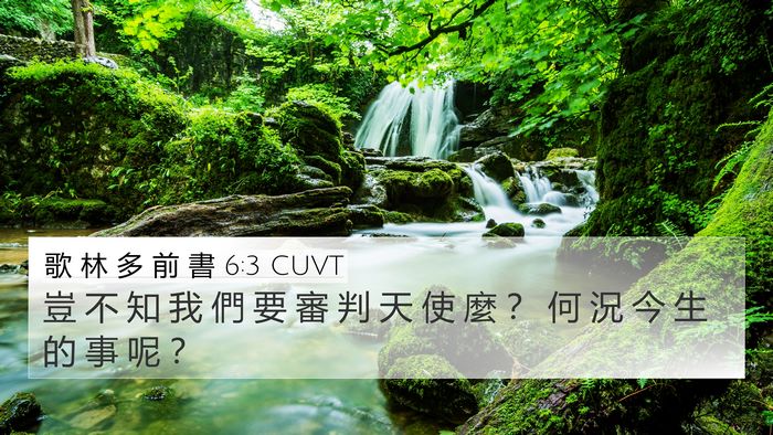 歌 林 多 前 書 6:3 CUVT 4K Wallpaper - 豈 不 知 我 們 要 審 判 天 使 麼 ？ - 4K Wallpaper Bible Verse