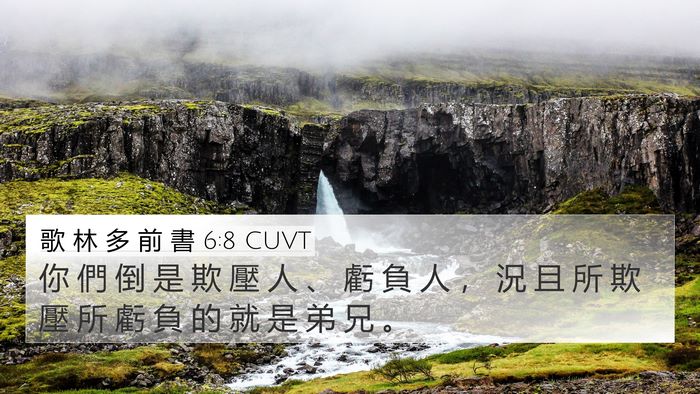 歌 林 多 前 書 6:8 CUVT 4K Wallpaper - 你 們 倒 是 欺 壓 人 、 虧 負 人 ， - 4K Wallpaper Bible Verse