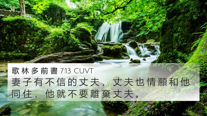 歌 林 多 前 書 7:13 CUVT Bible Verse Image