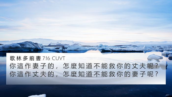 歌 林 多 前 書 7:16 CUVT Bible Verse Image