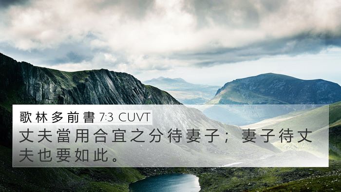 歌 林 多 前 書 7:3 CUVT Bible Verse Image