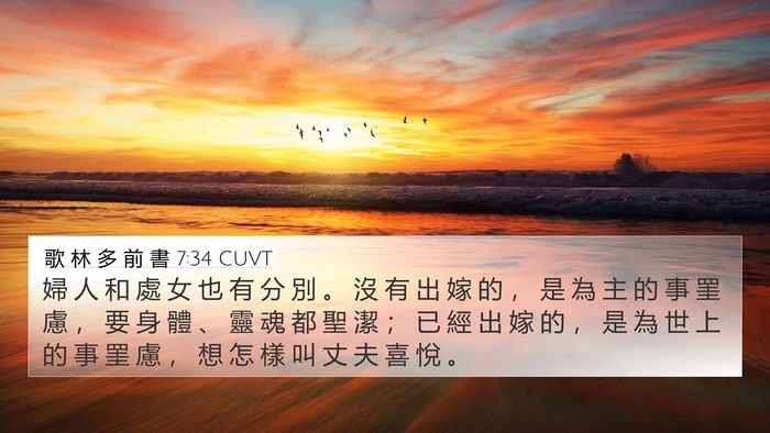 歌 林 多 前 書 7:34 CUVT Bible Verse Image