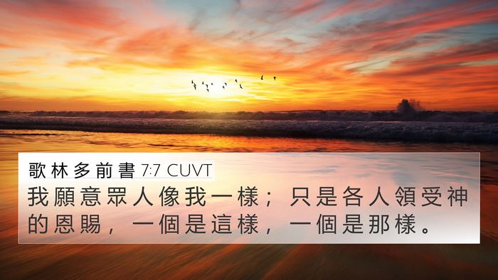 歌 林 多 前 書 7:7 CUVT Bible Verse Image
