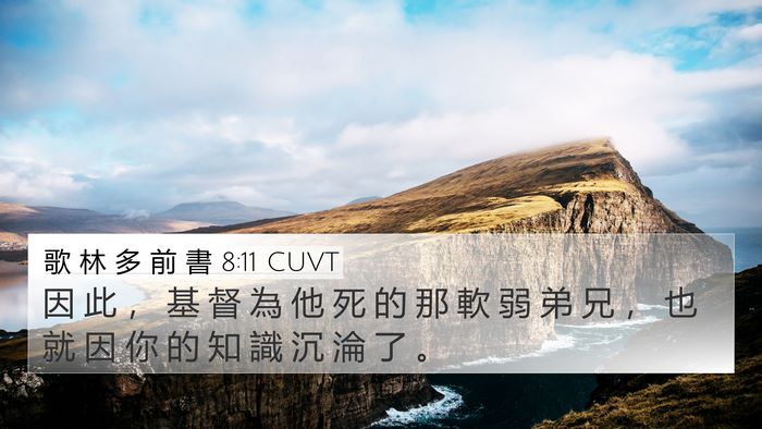 歌 林 多 前 書 8:11 CUVT Bible Verse Image