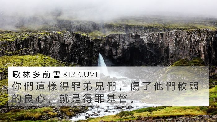 歌 林 多 前 書 8:12 CUVT Bible Verse Image
