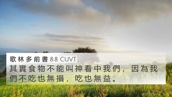 歌 林 多 前 書 8:8 CUVT 4K Wallpaper - 其 實 食 物 不 能 叫 神 看 中 我 們 - 4K Wallpaper Bible Verse