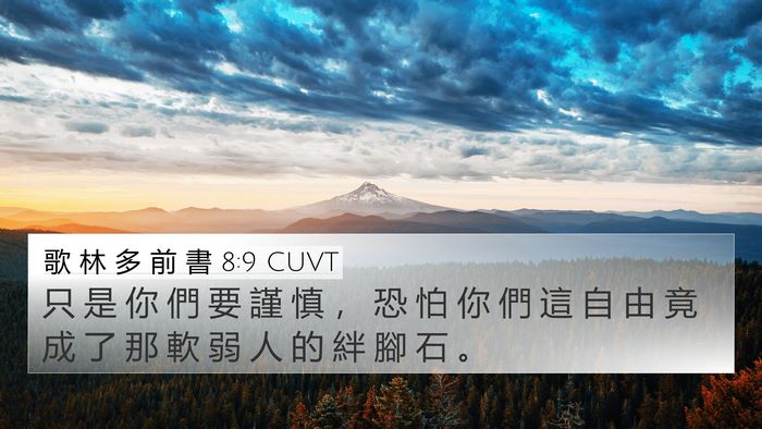 歌 林 多 前 書 8:9 CUVT Bible Verse Image