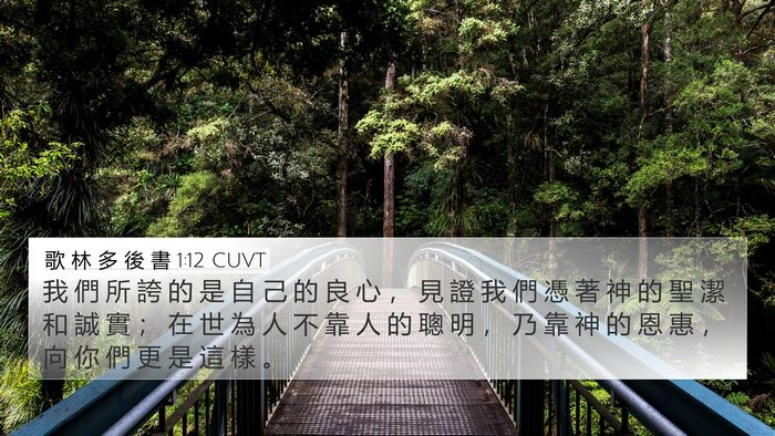 歌 林 多 後 書 1:12 CUVT Bible Verse Image