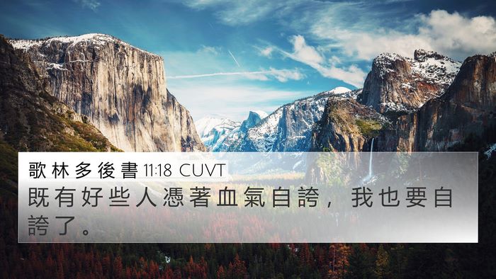 歌 林 多 後 書 11:18 CUVT Bible Verse Image