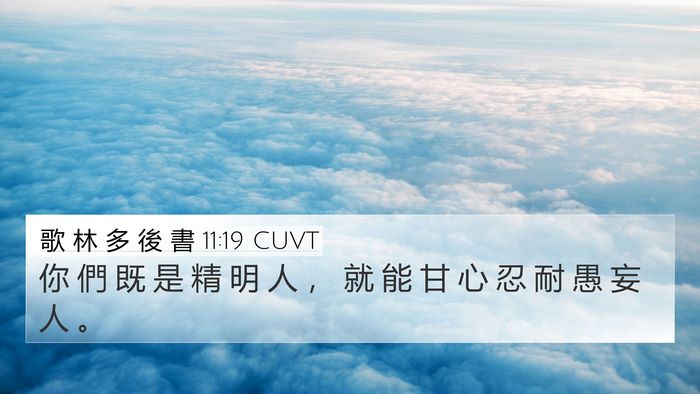 歌 林 多 後 書 11:19 CUVT Bible Verse Image