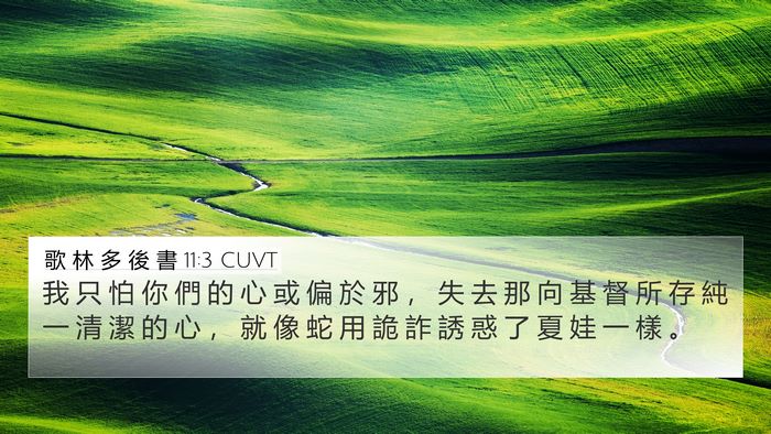 歌 林 多 後 書 11:3 CUVT Bible Verse Image