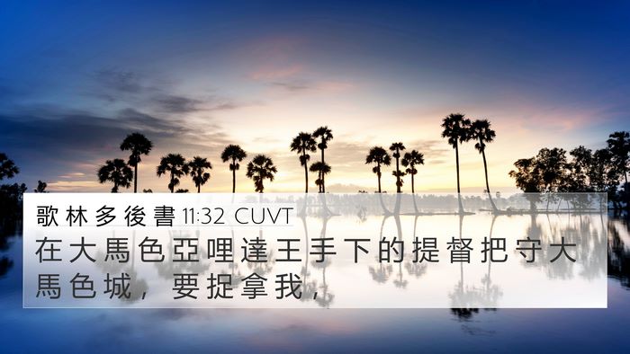 歌 林 多 後 書 11:32 CUVT Bible Verse Image