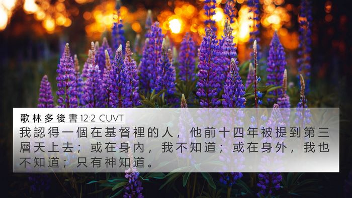 歌 林 多 後 書 12:2 CUVT 4K Wallpaper - 我 認 得 一 個 在 基 督 裡 的 人 ， - 4K Wallpaper Bible Verse
