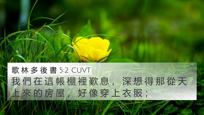 歌 林 多 後 書 5:2 CUVT Bible Verse Image