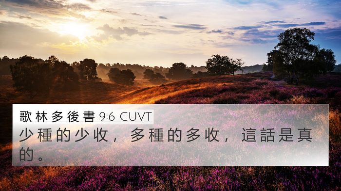 歌 林 多 後 書 9:6 CUVT Bible Verse Image