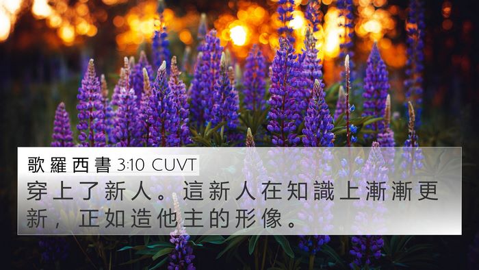 歌 羅 西 書 3:10 CUVT Bible Verse Image
