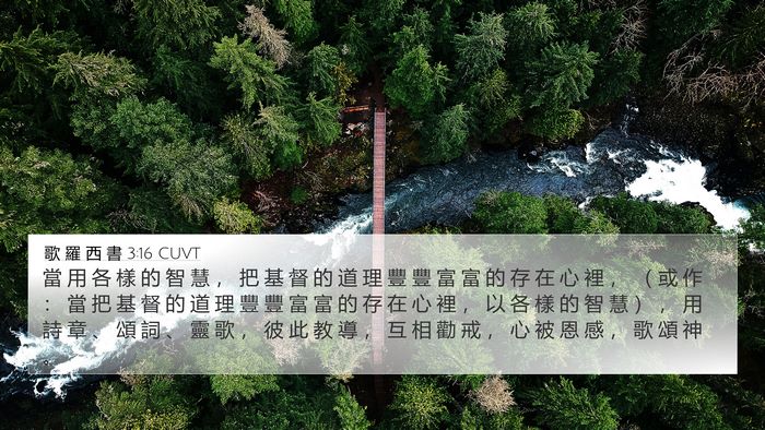 歌 羅 西 書 3:16 CUVT Bible Verse Image