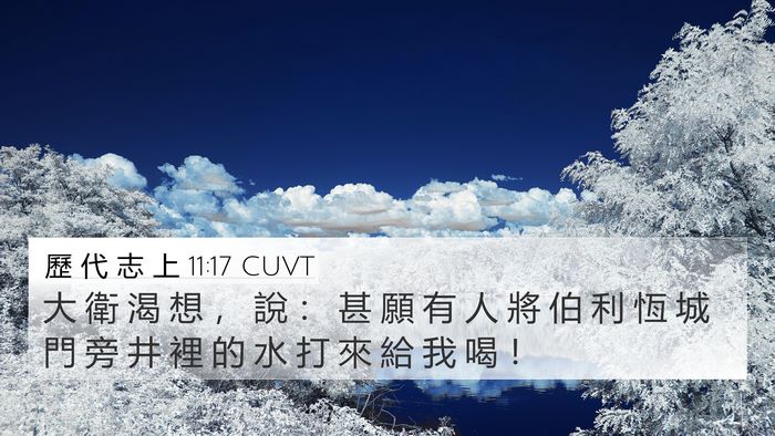 歷 代 志 上 11:17 CUVT Bible Verse Image