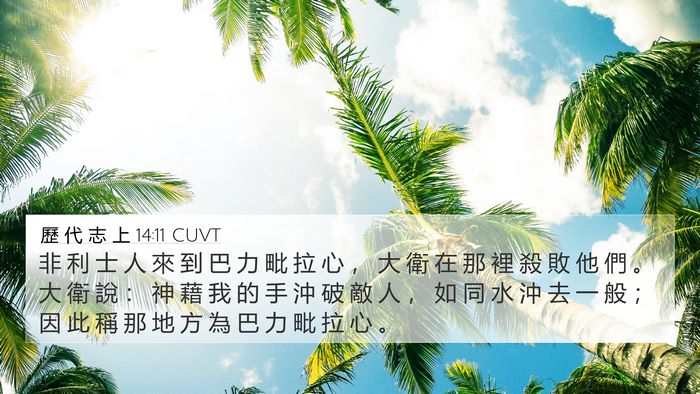 歷 代 志 上 14:11 CUVT 4K Wallpaper - 非 利 士 人 來 到 巴 力 毗 拉 心 ， - 4K Wallpaper Bible Verse