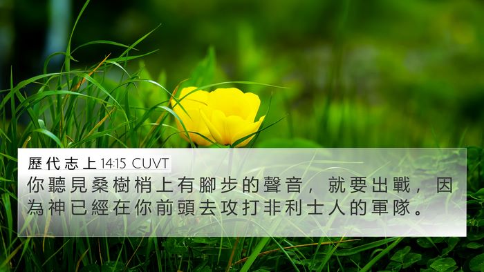 歷 代 志 上 14:15 CUVT Bible Verse Image