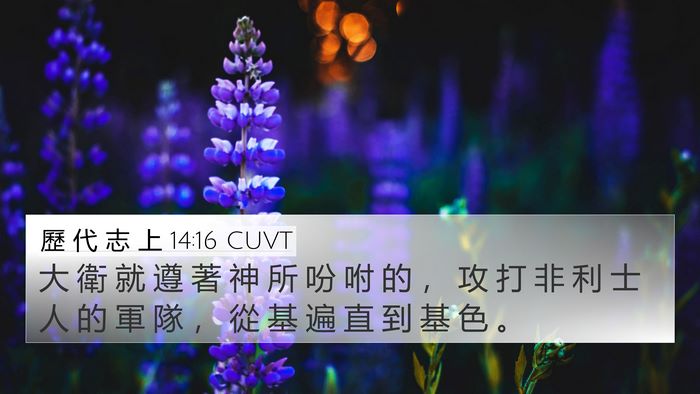 歷 代 志 上 14:16 CUVT Bible Verse Image