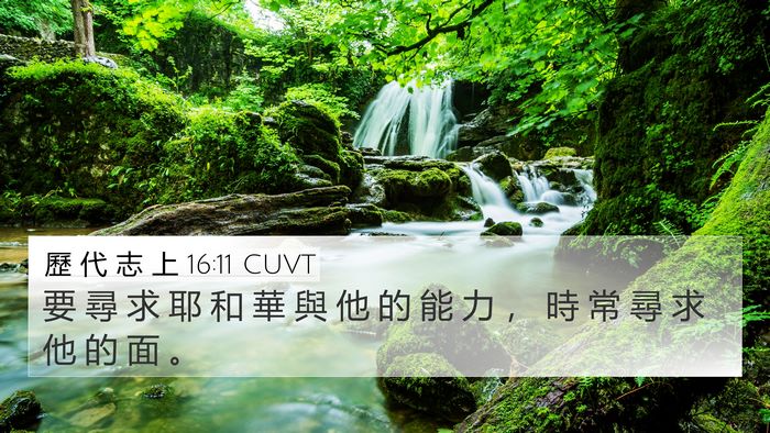 歷 代 志 上 16:11 CUVT Bible Verse Image