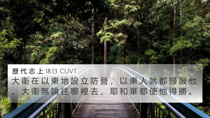 歷 代 志 上 18:13 CUVT Bible Verse Image