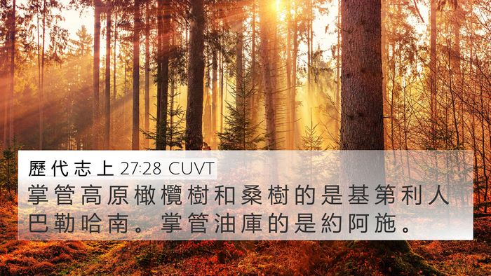 歷 代 志 上 27:28 CUVT 4K Wallpaper - 掌 管 高 原 橄 欖 樹 和 桑 樹 的 是 - 4K Wallpaper Bible Verse