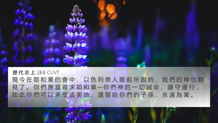 歷 代 志 上 28:8 CUVT Bible Verse Image