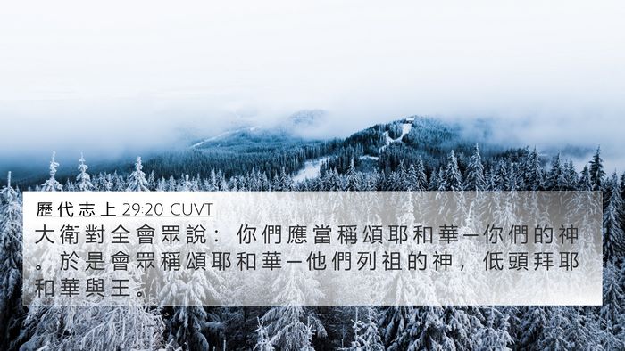 歷 代 志 上 29:20 CUVT Bible Verse Image
