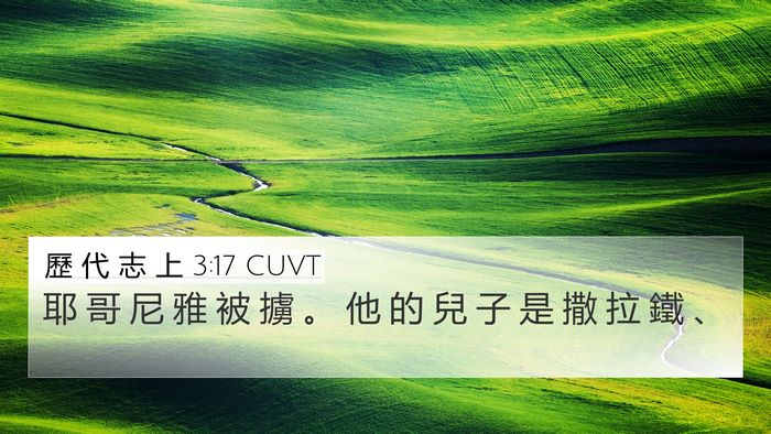 歷 代 志 上 3:17 CUVT Bible Verse Image