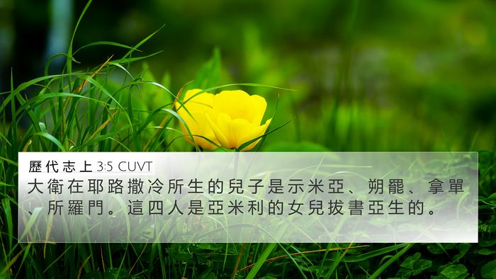 歷 代 志 上 3:5 CUVT Bible Verse Image