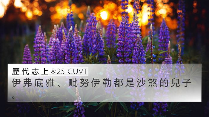 歷 代 志 上 8:25 CUVT 4K Wallpaper - 伊 弗 底 雅 、 毗 努 伊 勒 都 是 沙 - 4K Wallpaper Bible Verse