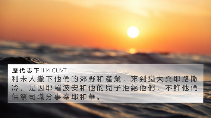 歷 代 志 下 11:14 CUVT Bible Verse Image