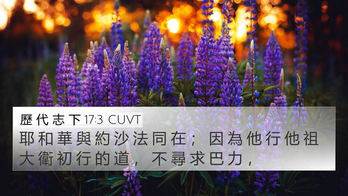 歷 代 志 下 17:3 CUVT Bible Verse Image