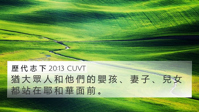 歷 代 志 下 20:13 CUVT 4K Wallpaper - 猶 大 眾 人 和 他 們 的 嬰 孩 、 妻 - 4K Wallpaper Bible Verse