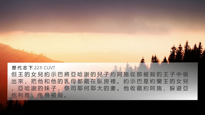 歷 代 志 下 22:11 CUVT 4K Wallpaper - 但 王 的 女 兒 約 示 巴 將 亞 哈 謝 - 4K Wallpaper Bible Verse