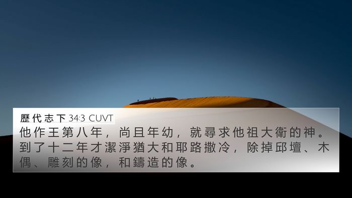 歷 代 志 下 34:3 CUVT Bible Verse Image