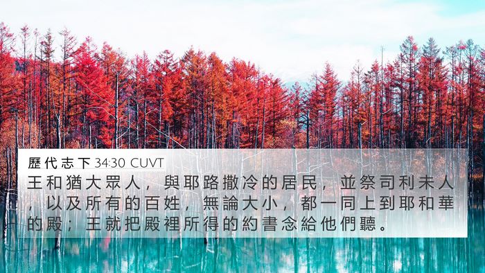 歷 代 志 下 34:30 CUVT Bible Verse Image