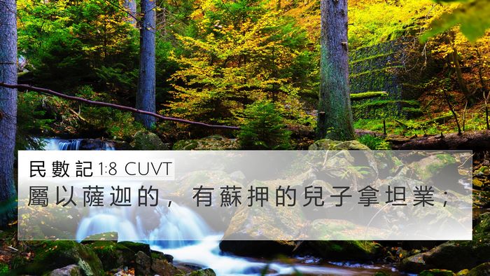 民 數 記 1:8 CUVT 4K Wallpaper - 屬 以 薩 迦 的 ， 有 蘇 押 的 兒 子 - 4K Wallpaper Bible Verse