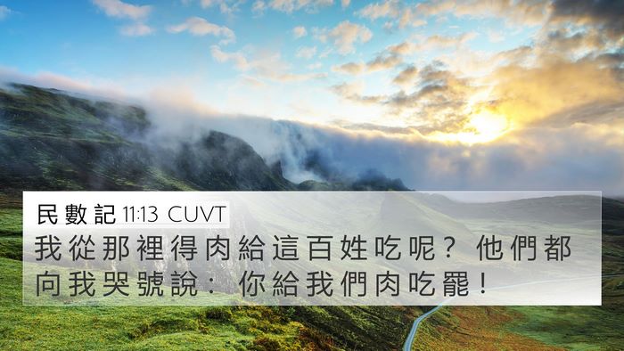 民 數 記 11:13 CUVT 4K Wallpaper - 我 從 那 裡 得 肉 給 這 百 姓 吃 呢 - 4K Wallpaper Bible Verse