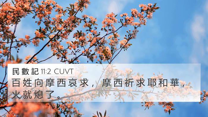 民 數 記 11:2 CUVT 4K Wallpaper - 百 姓 向 摩 西 哀 求 ， 摩 西 祈 求 - 4K Wallpaper Bible Verse