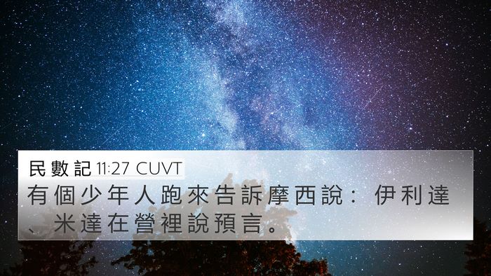 民 數 記 11:27 CUVT 4K Wallpaper - 有 個 少 年 人 跑 來 告 訴 摩 西 說 - 4K Wallpaper Bible Verse