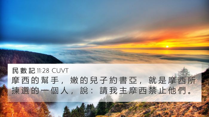 民 數 記 11:28 CUVT Bible Verse Image