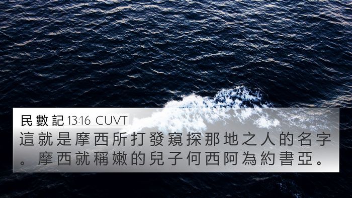 民 數 記 13:16 CUVT Bible Verse Image
