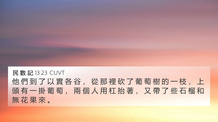 民 數 記 13:23 CUVT Bible Verse Image