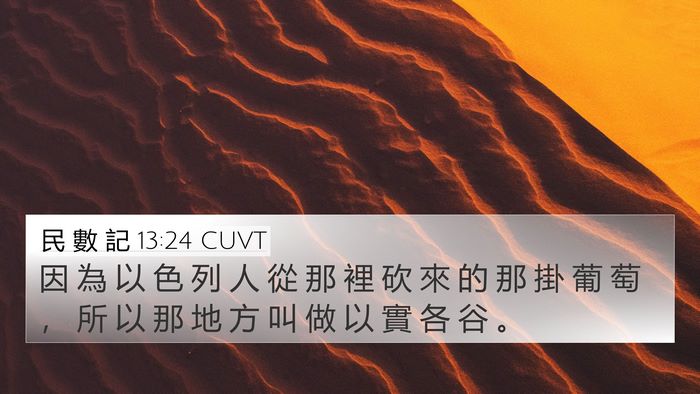 民 數 記 13:24 CUVT Bible Verse Image